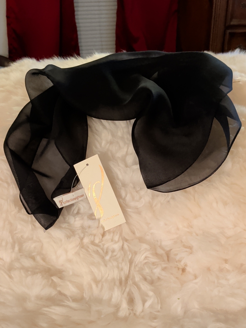 Collectioneighting Sheer Black Scarf - Lightweight & Elegant